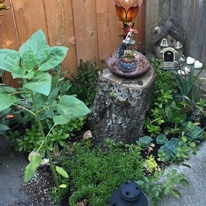 Meet your Posher, Jade